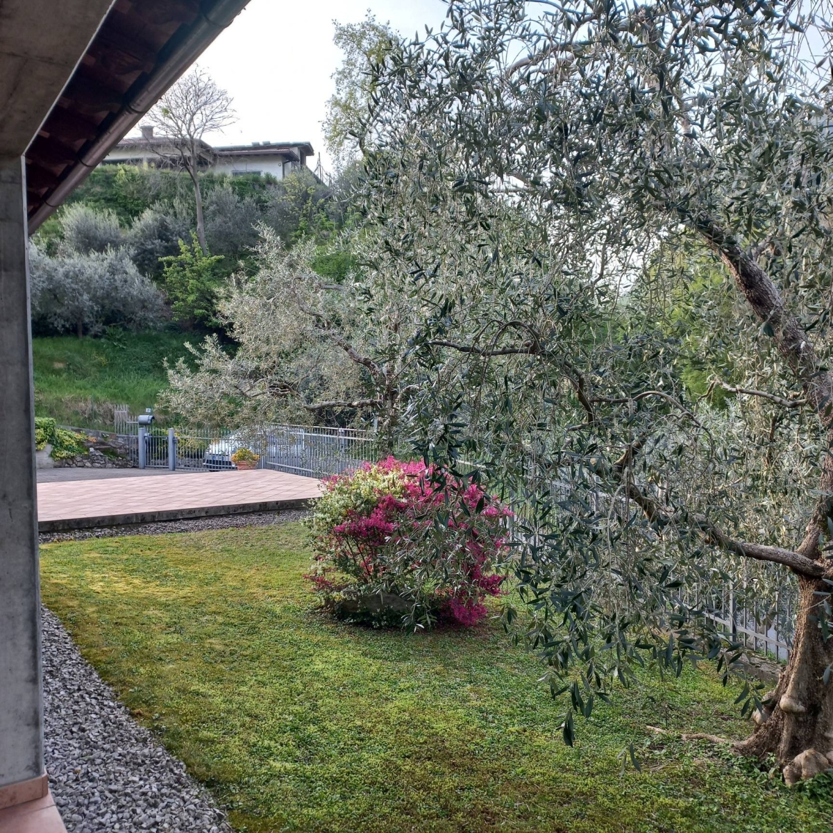 Villa o Villetta - 